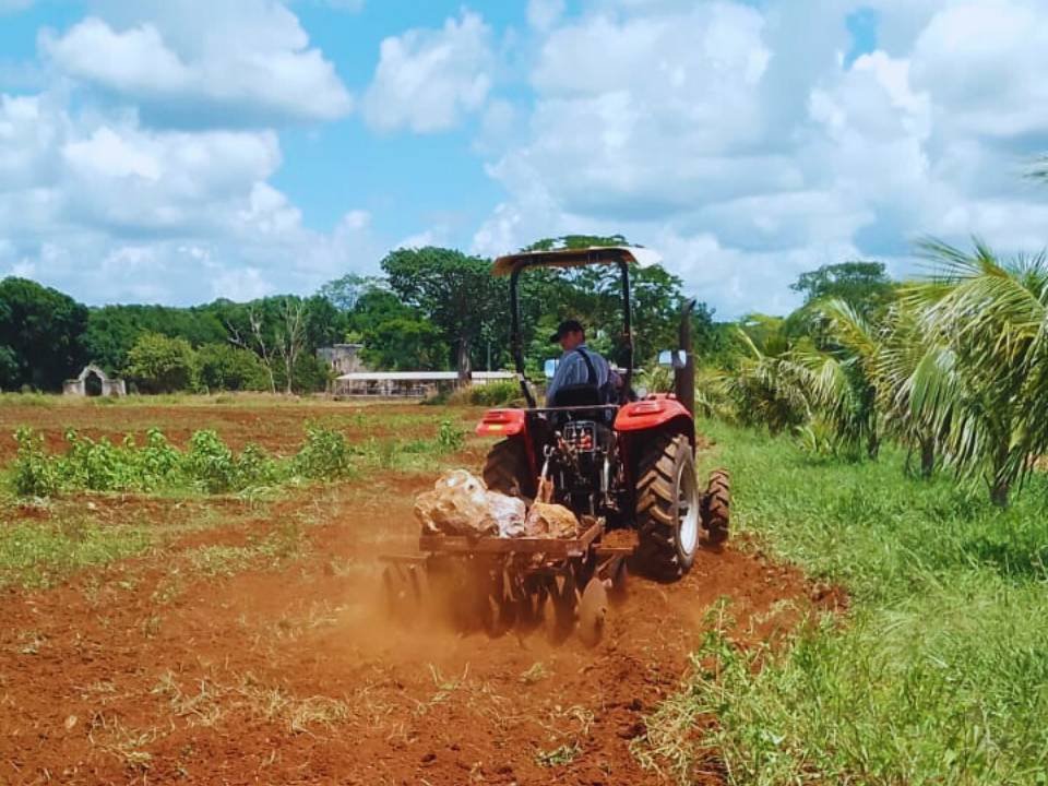 tractor arando